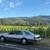 1987 Ford Thunderbird 9th Gen - Image 17 of 22