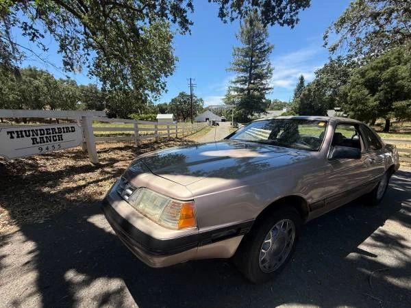 1987 Ford Thunderbird 9th Gen - Image 2 of 22