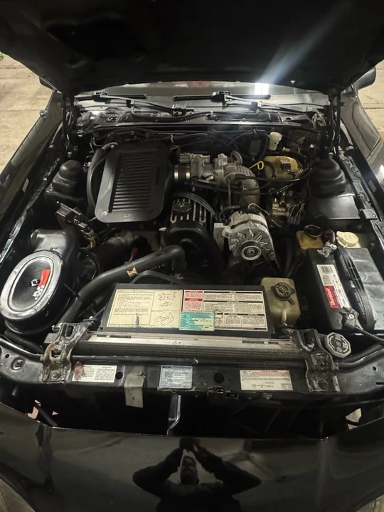 1987 Ford Thunderbird 8th Gen - Image 21 of 21