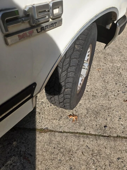 1987 Ford F-Series 8th Gen - Image 16 of 19