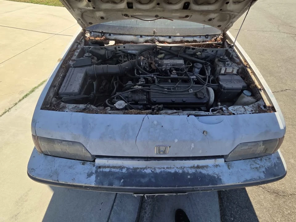 1987 Honda CR-X 1st Gen - Image 11 of 11