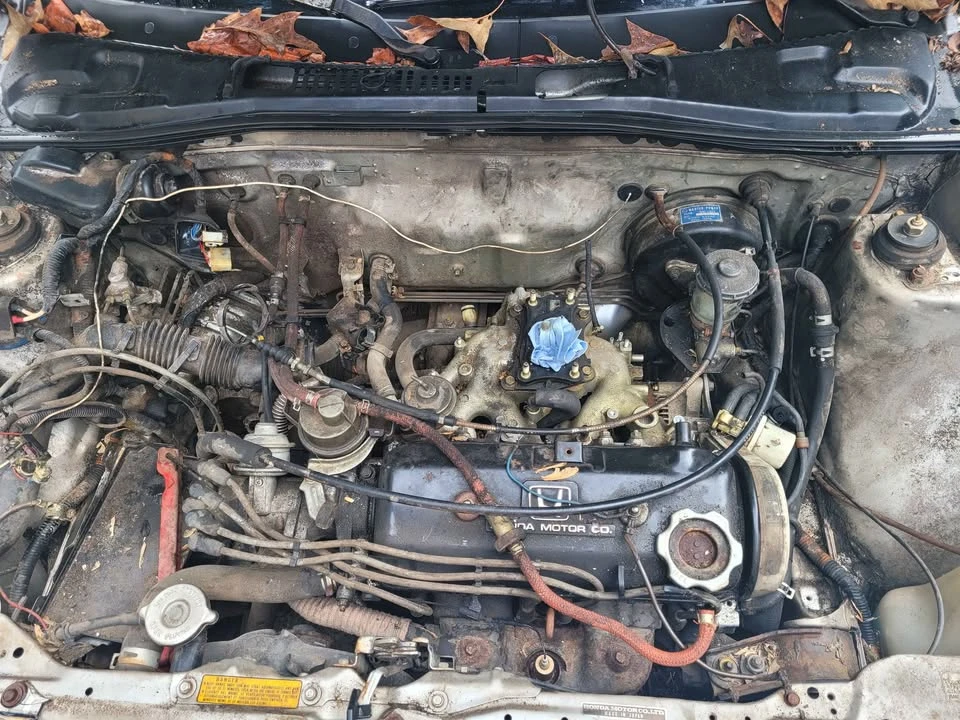 1987 Honda CR-X 1st Gen - Image 13 of 13