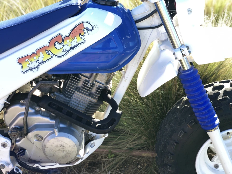 1987 Honda ATV - Image 19 of 31