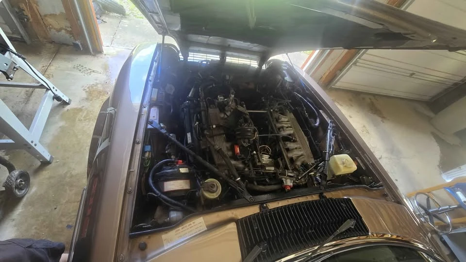 1987 Jaguar XJS Pre-Facelift V12 - Image 14 of 17