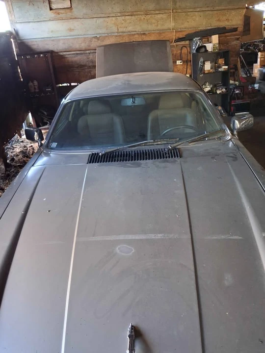 1987 Jaguar XJS Pre-Facelift V12 - Image 5 of 20