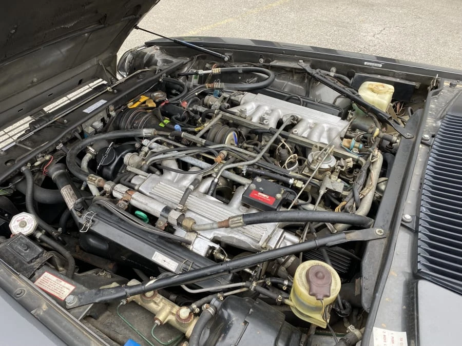 1987 Jaguar XJS - Image 4 of 12