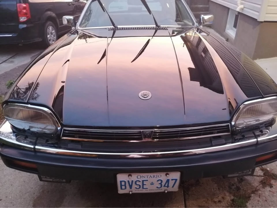 1987 Jaguar XJS - Image 3 of 12