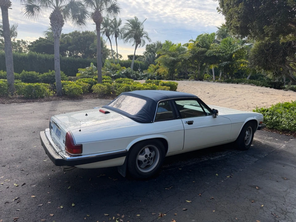 1987 Jaguar XJS - Image 6 of 6