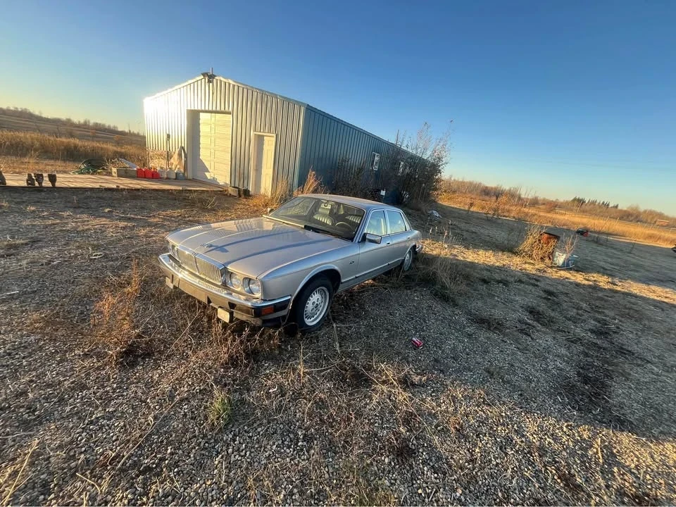 1987 Jaguar XJ40 XJ - Image 8 of 8