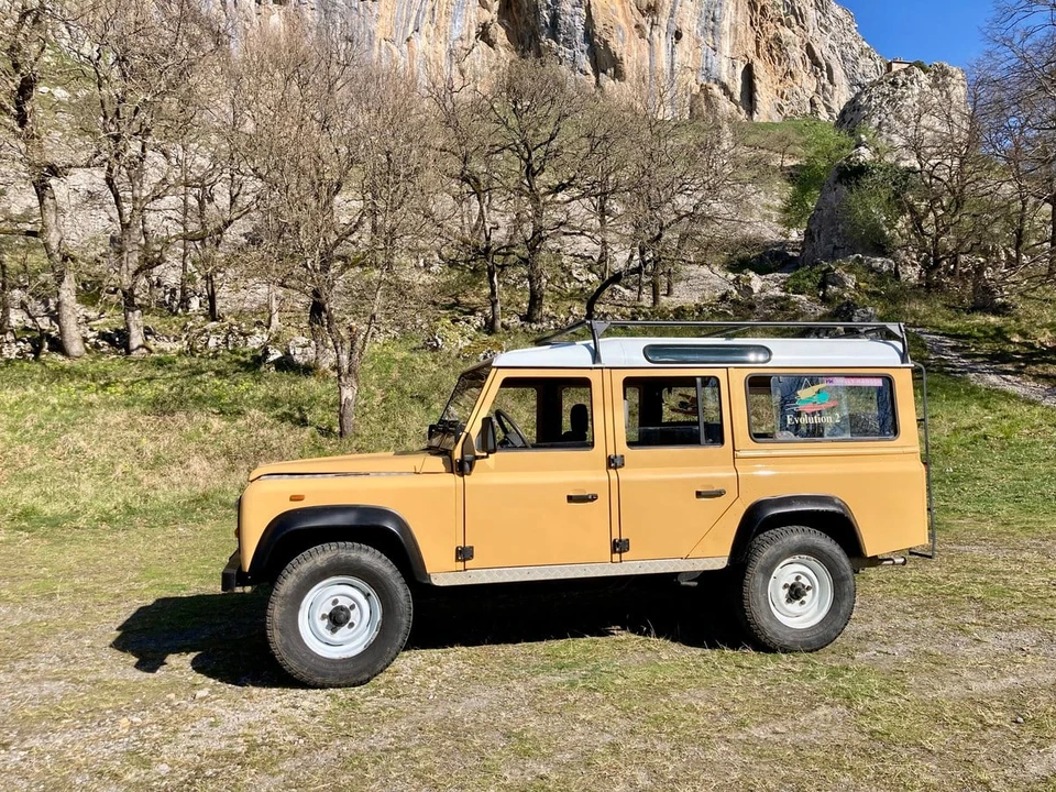 1987 Land Rover Defender 110 - Image 9 of 30