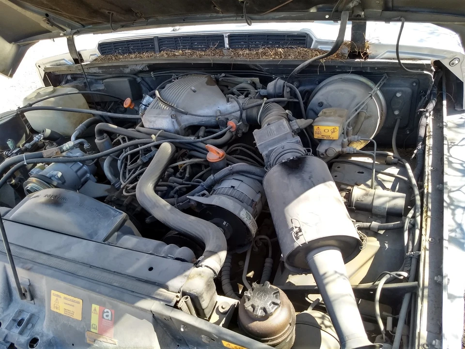 1987 Land Rover Range Rover Classic - Image 14 of 16