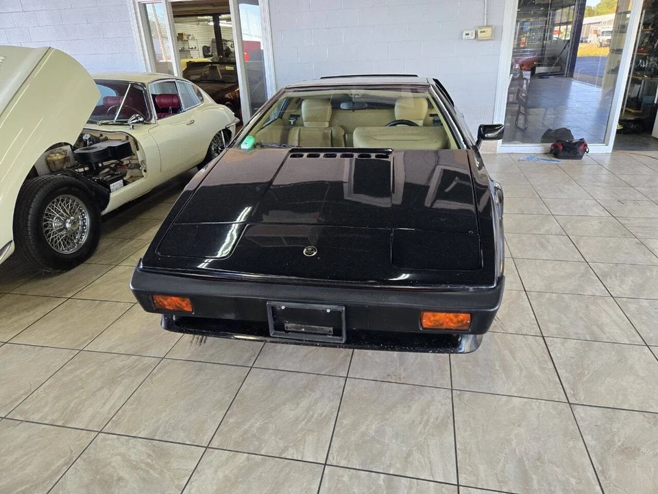 1987 Lotus Esprit Series 3 & Turbo - Image 4 of 21