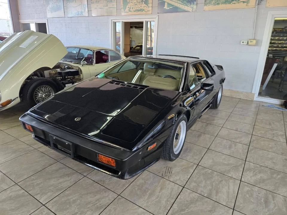 1987 Lotus Esprit Series 3 & Turbo - Image 2 of 21