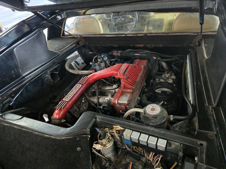 1987 Lotus Esprit Series 3 & Turbo - Image 20 of 21