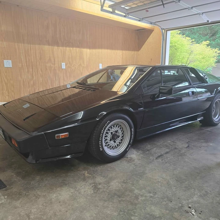 1987 Lotus Esprit Series 3 & Turbo - Image 2 of 11