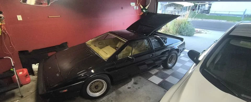 1987 Lotus Esprit X180 - Image 18 of 20