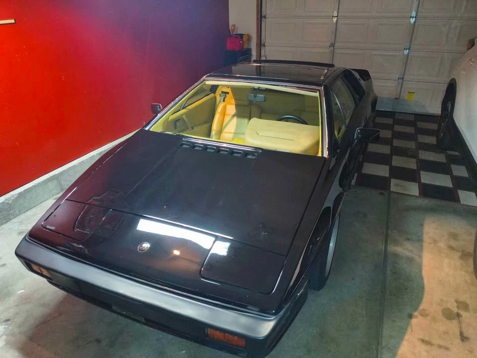 1987 Lotus Esprit Series 3 & Turbo - Image 5 of 15