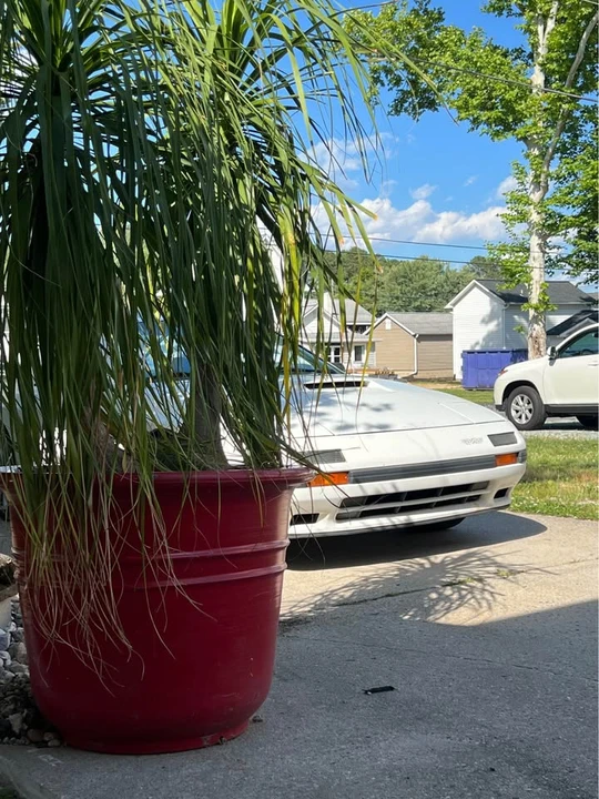 1987 Mazda RX-7 FC - Image 6 of 6