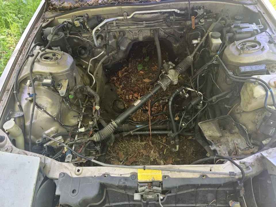 1987 Mazda RX-7 FC - Image 3 of 8