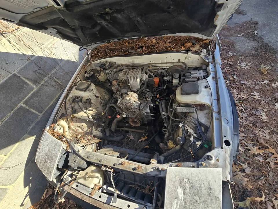 1987 Mazda RX-7 FC - Image 8 of 10