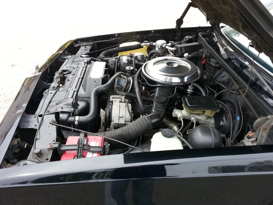 1987 Oldsmobile 442 4th Gen - Image 4 of 9
