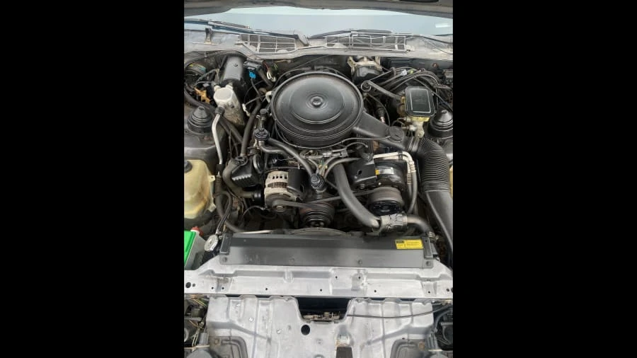 1987 Pontiac Firebird 3rd Gen - Image 9 of 11
