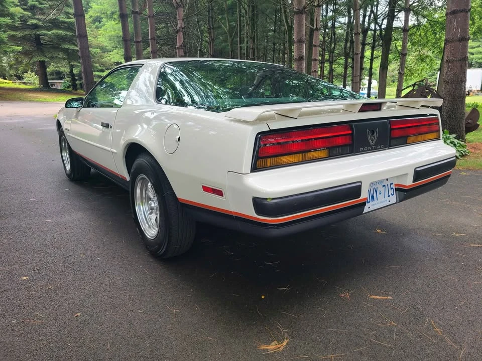 1987 Pontiac Firebird 3rd Gen - Image 3 of 3