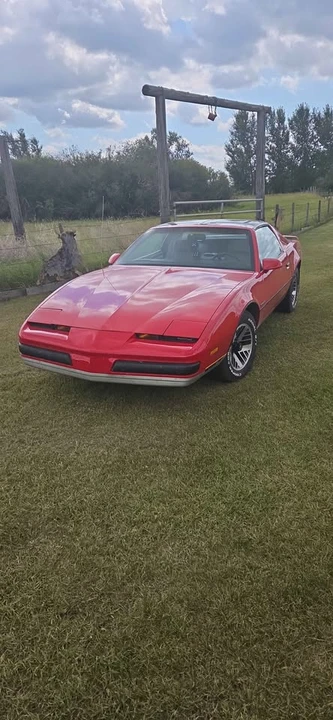 1987 Pontiac Firebird 3rd Gen - Image 6 of 6