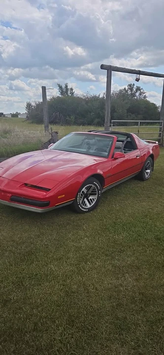 1987 Pontiac Firebird 3rd Gen - Image 3 of 6