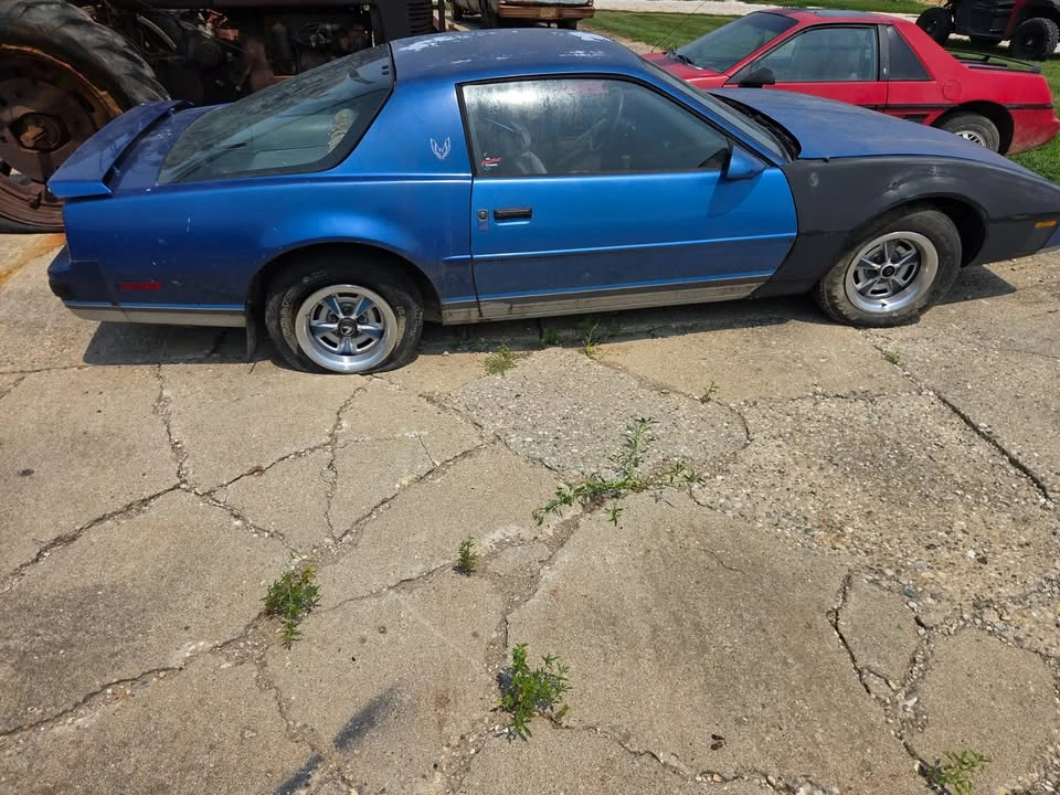 1987 Pontiac Firebird 3rd Gen - Image 3 of 9