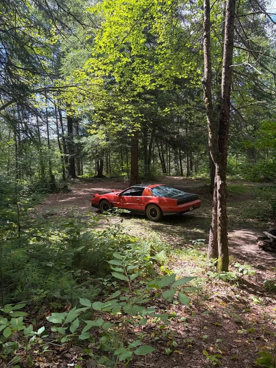1987 Pontiac Firebird 3rd Gen - Image 3 of 4