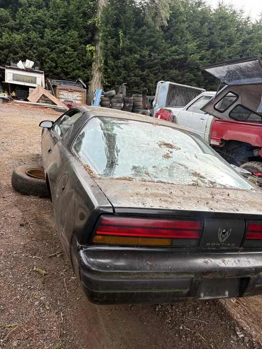 1987 Pontiac Firebird 3rd Gen - Image 4 of 5