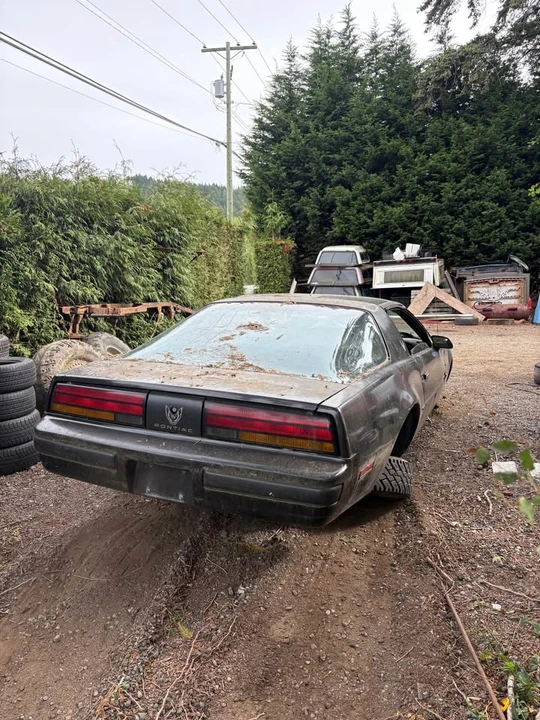 1987 Pontiac Firebird 3rd Gen - Image 3 of 5