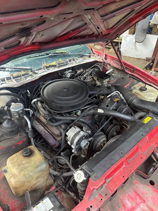 1987 Pontiac Firebird 3rd Gen - Image 2 of 6
