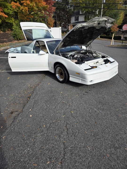 1987 Pontiac Firebird Trans Am 3rd Gen - Image 16 of 21