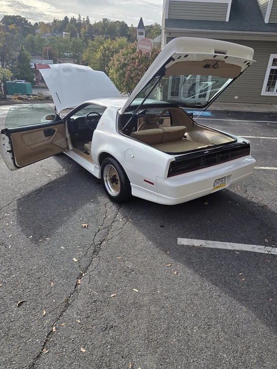 1987 Pontiac Firebird Trans Am 3rd Gen - Image 20 of 21