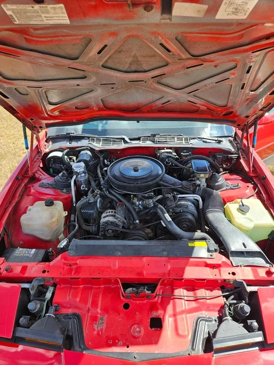 1987 Pontiac Firebird Trans Am 3rd Gen - Image 17 of 19