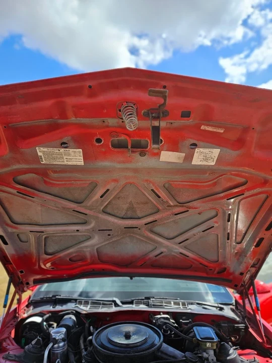 1987 Pontiac Firebird Trans Am 3rd Gen - Image 16 of 19