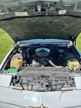 1987 Pontiac Firebird Trans Am Hatchback 2D