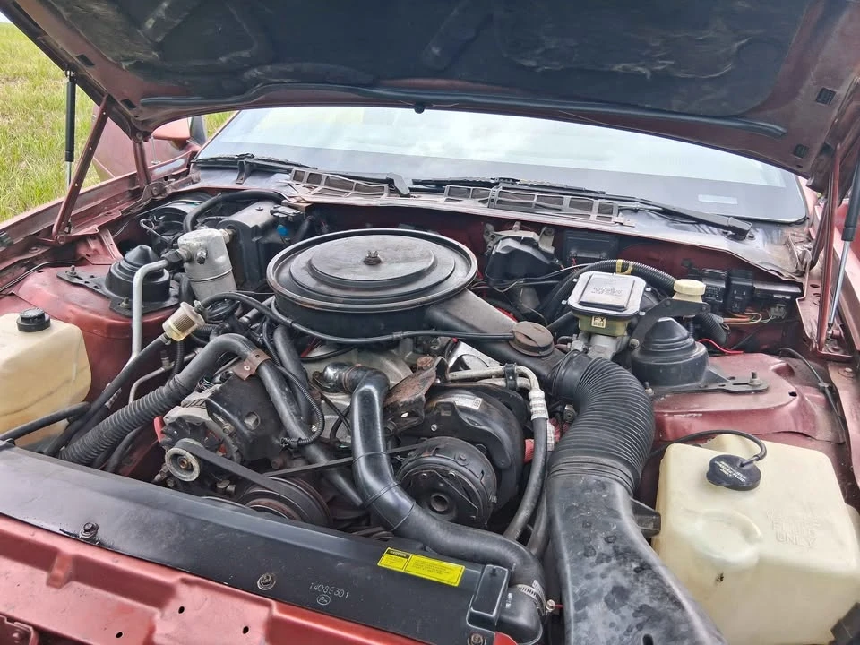 1987 Pontiac Firebird Trans Am 3rd Gen - Image 8 of 13