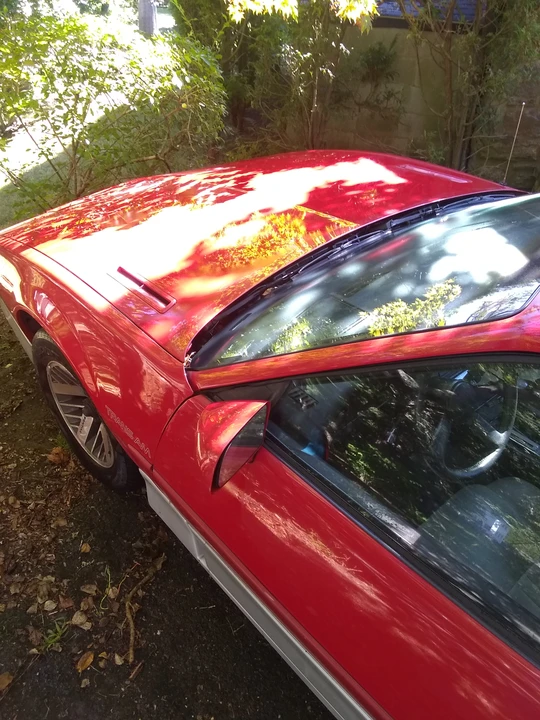 1987 Pontiac Firebird Trans Am 3rd Gen - Image 6 of 20