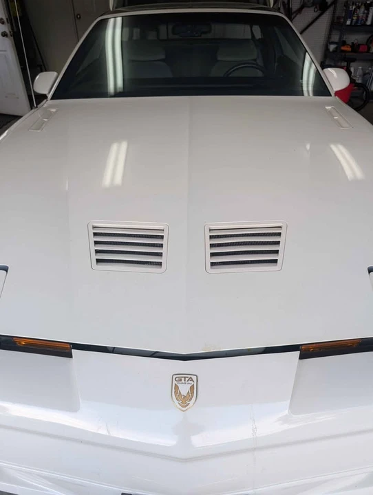1987 Pontiac Firebird Trans Am 3rd Gen - Image 9 of 10