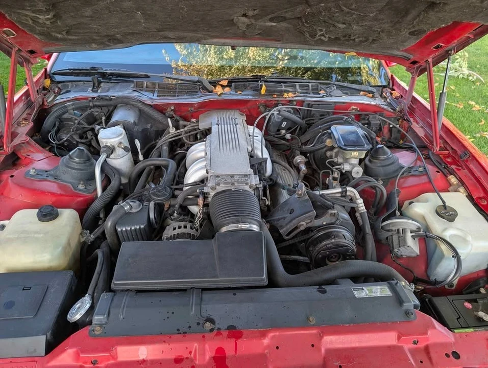 1987 Pontiac Firebird Trans Am 3rd Gen - Image 4 of 15