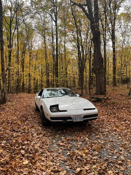 1987 Pontiac Firebird 3rd Gen - Image 5 of 5