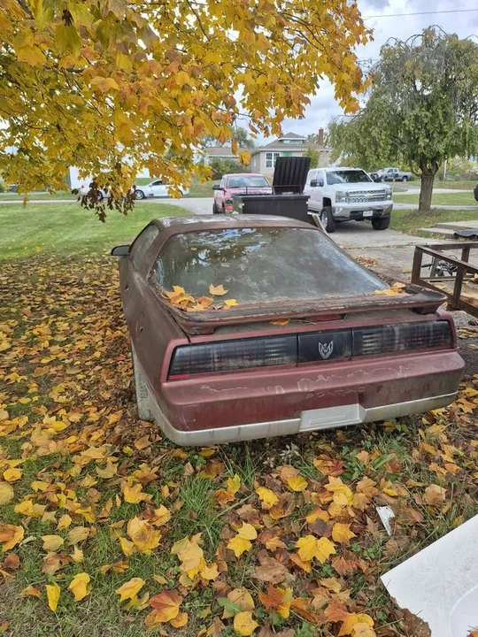 1987 Pontiac Firebird Trans Am 3rd Gen - Image 3 of 3