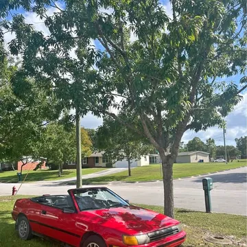 1987 Toyota Celica GT Convertible