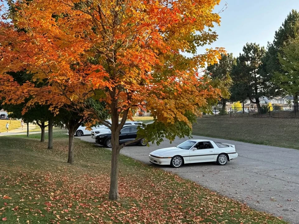 1987 Toyota Supra 3rd Gen - Image 14 of 18