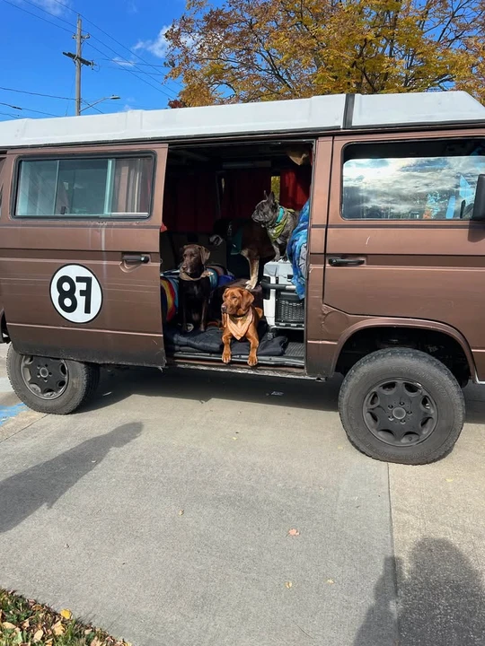 1987 Volkswagen Vanagon - Image 5 of 7