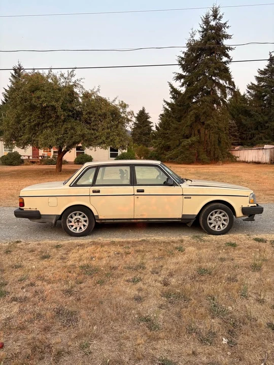 1987 Volvo 244 - Image 8 of 19