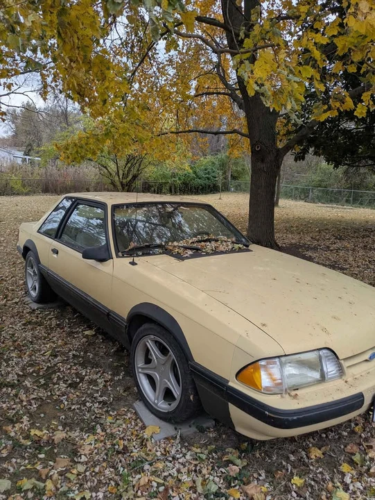 1987 Ford Mustang 3rd Gen - Image 3 of 8